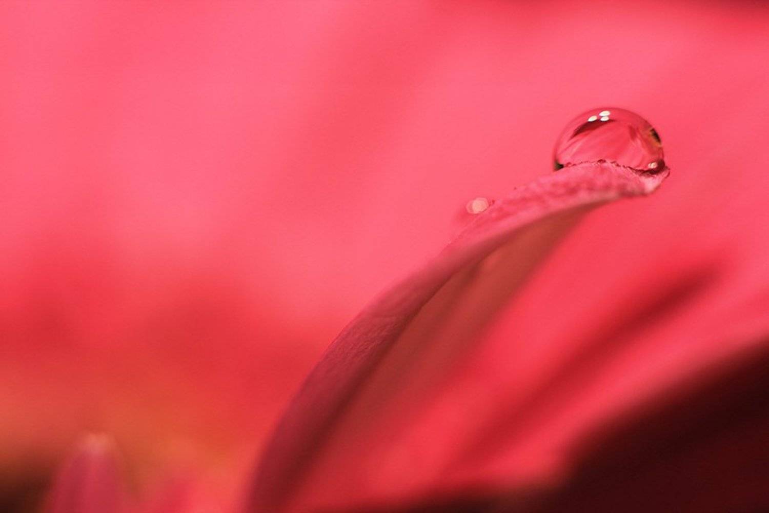 drops, Grzegorz Przyborowski