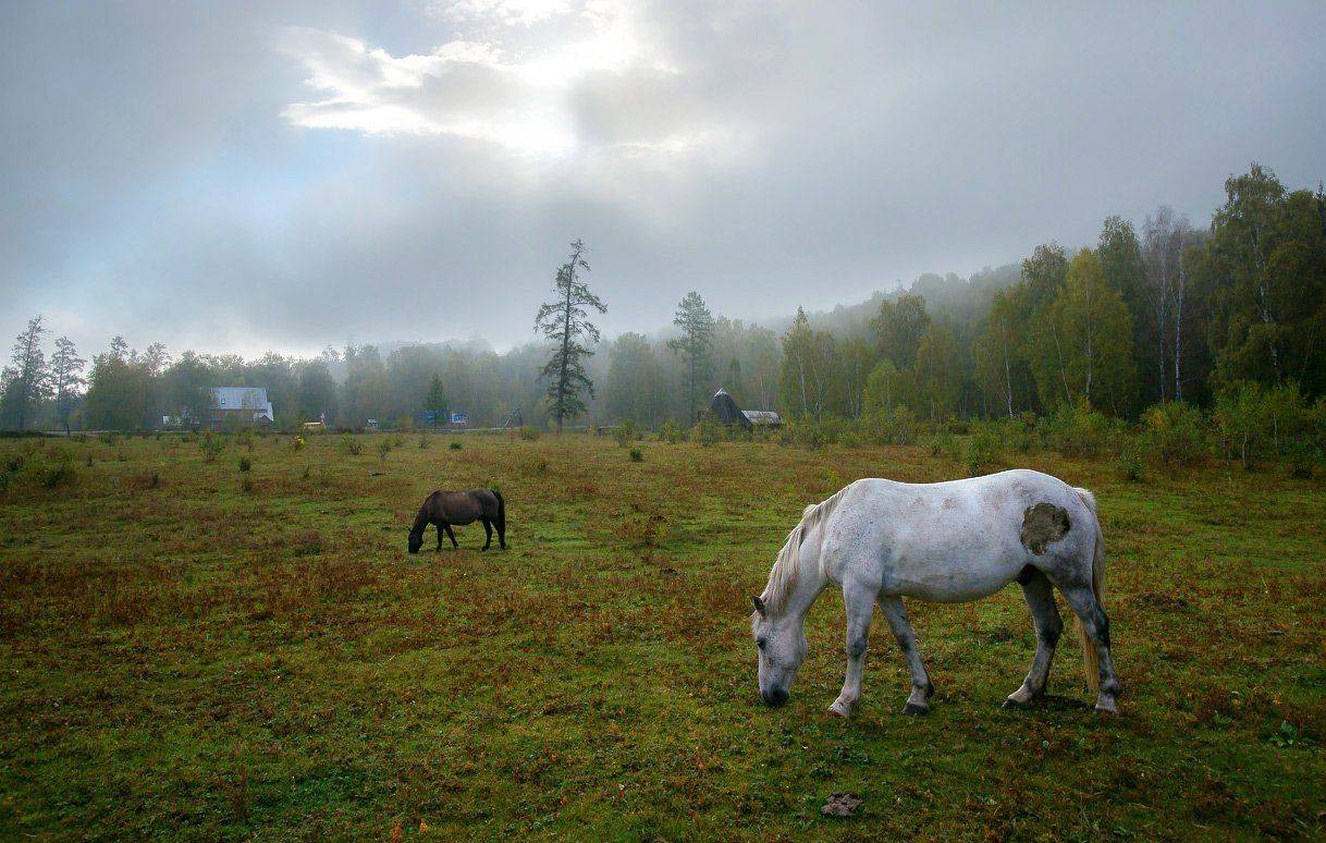 , Владимир Ляпин