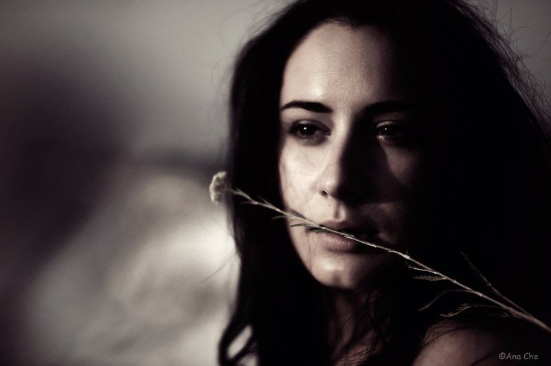 * фото превью