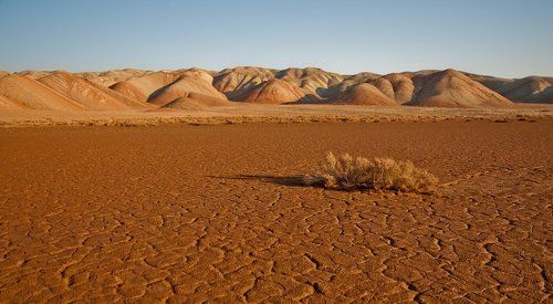 Morning in a desert