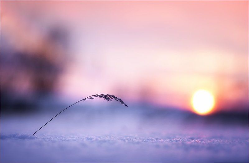 Поклонясь февральскому закату фото превью