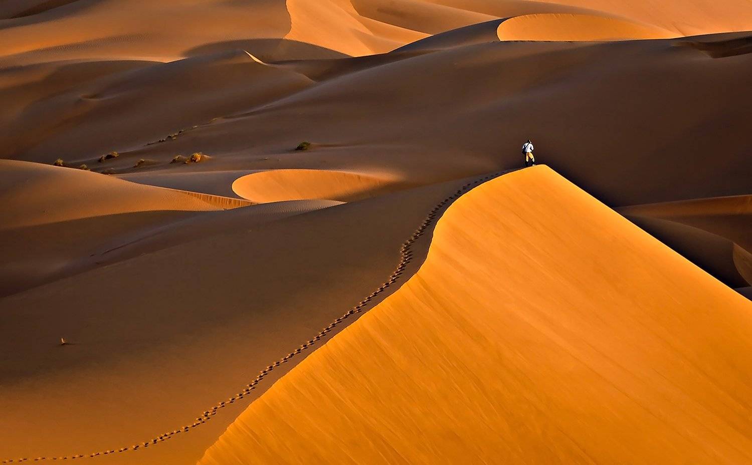 , Mohammadreza Momeni