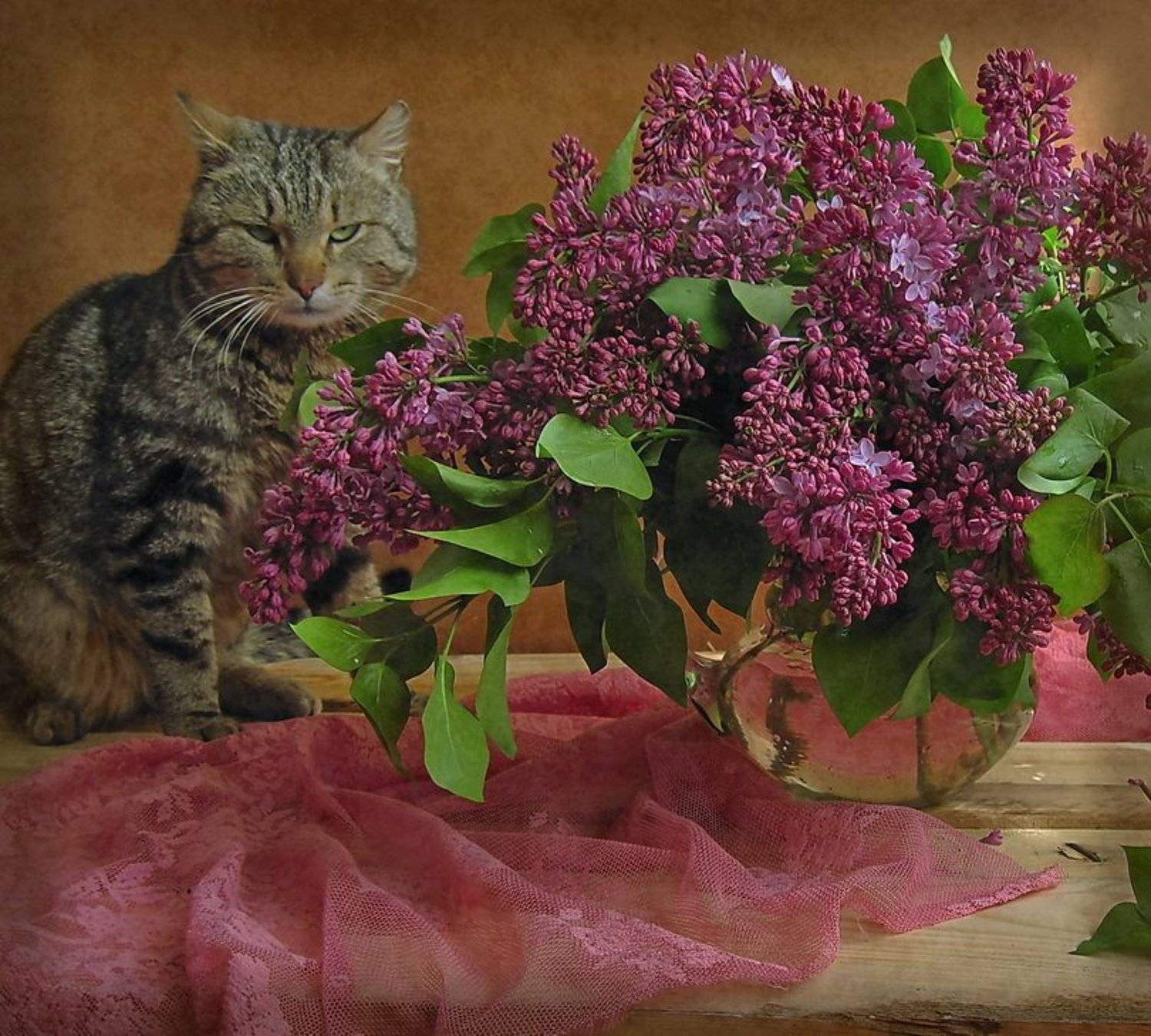 , Ирина