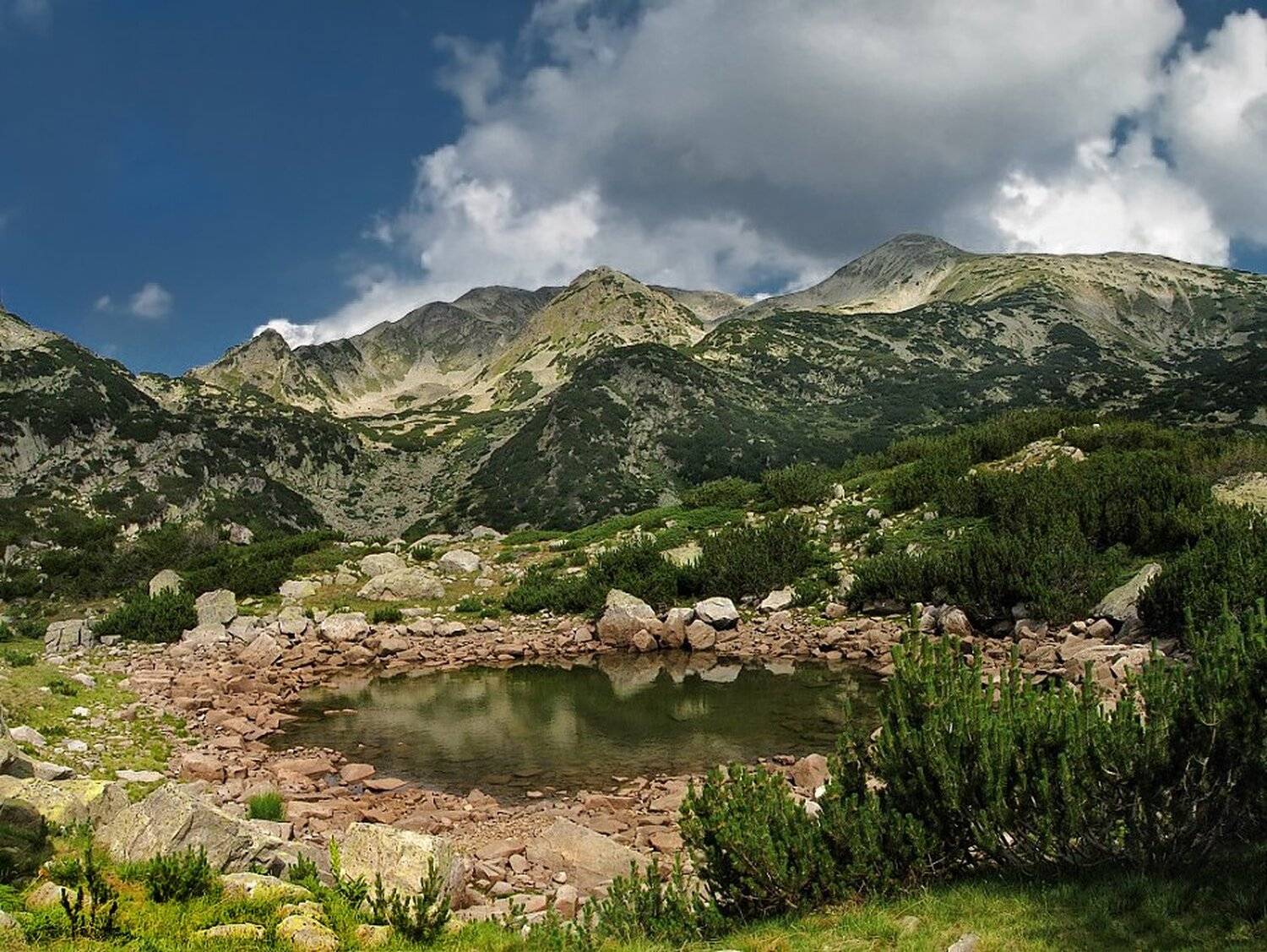 , Ирина Костова