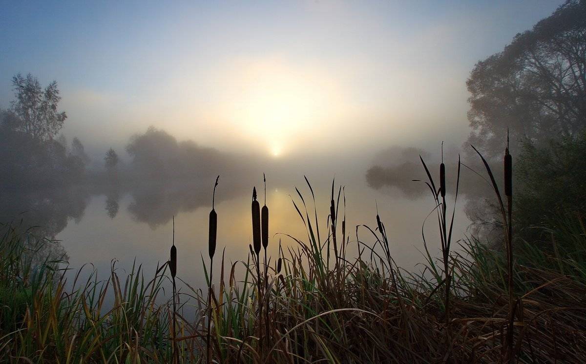 , Валерий Кондратов