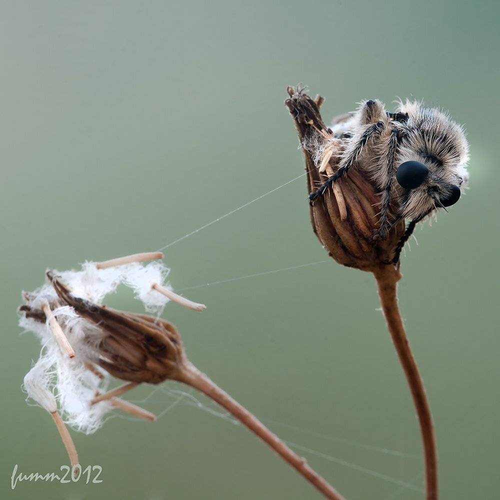 , Игорь ФУММ