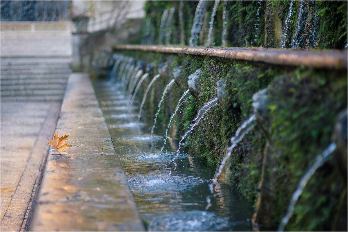 , Кутыгин Эдуард