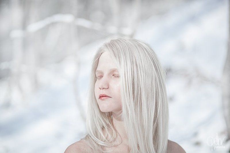 White in White фото превью