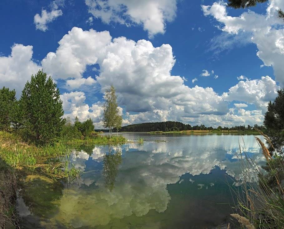 , Игорь Ломакин