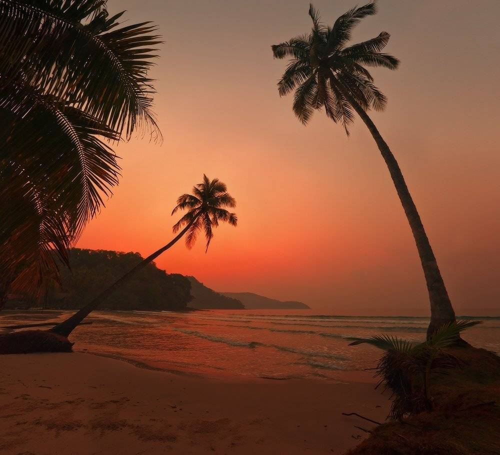 , Борис Богданов