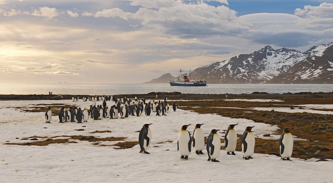 south, georgia, Андрей Ведерников