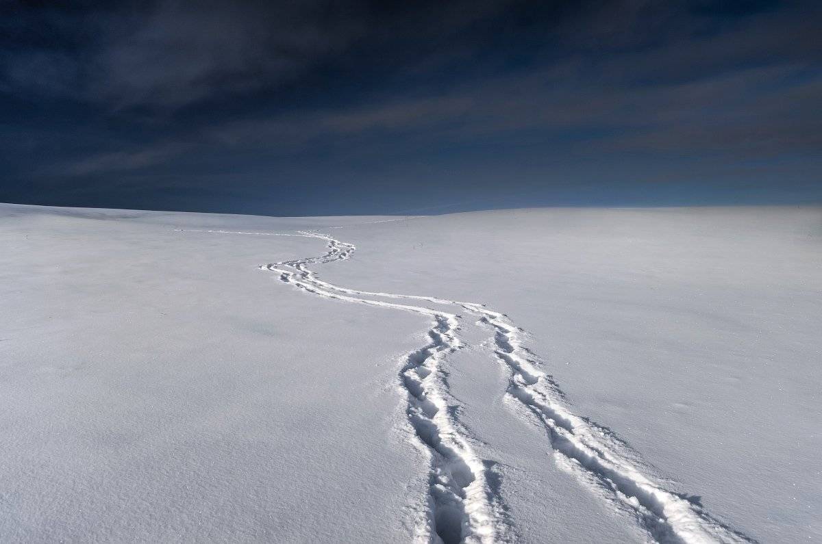 , Франчук Антон