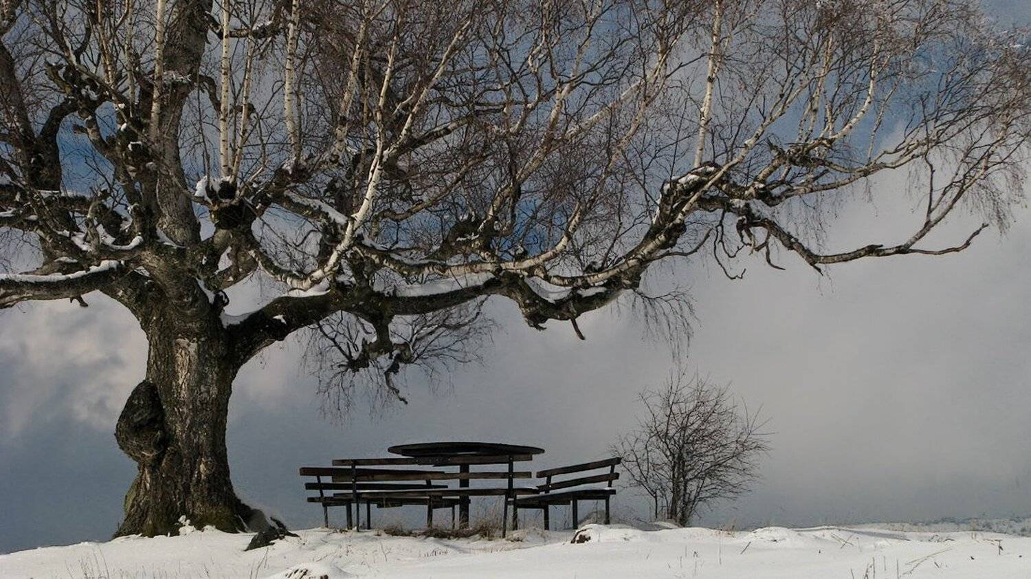 , Ирина Костова