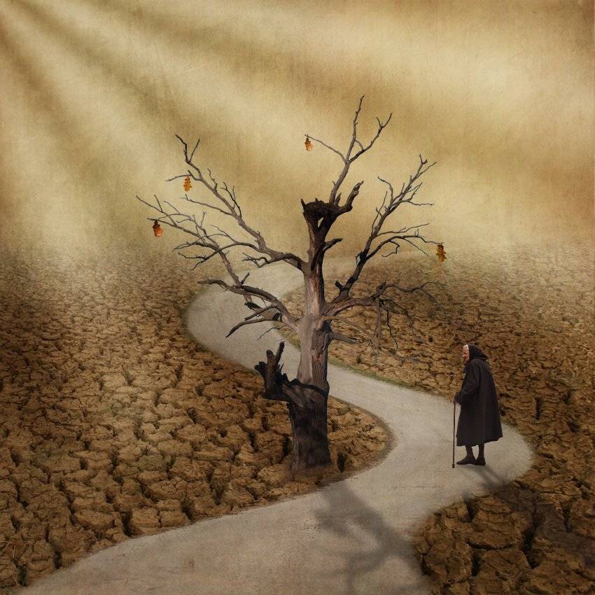 photomontage, grandmother, tree, leaves, Anna