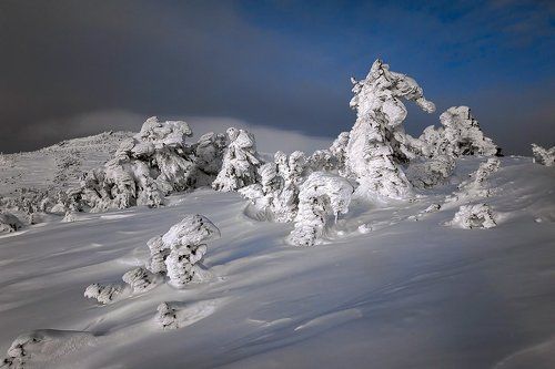 Pro перламутровый Шерегеш