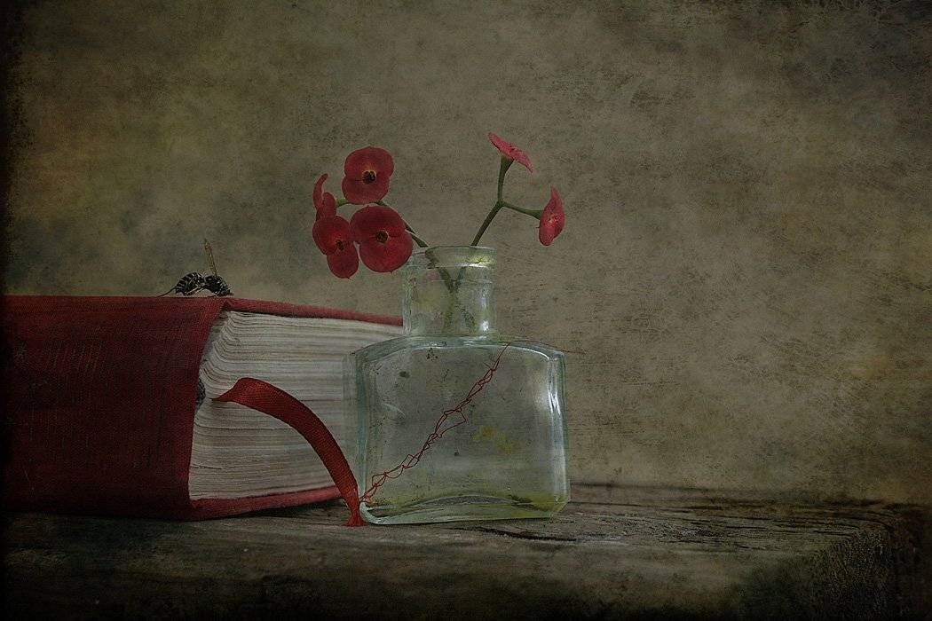 , Петрова Татьяна