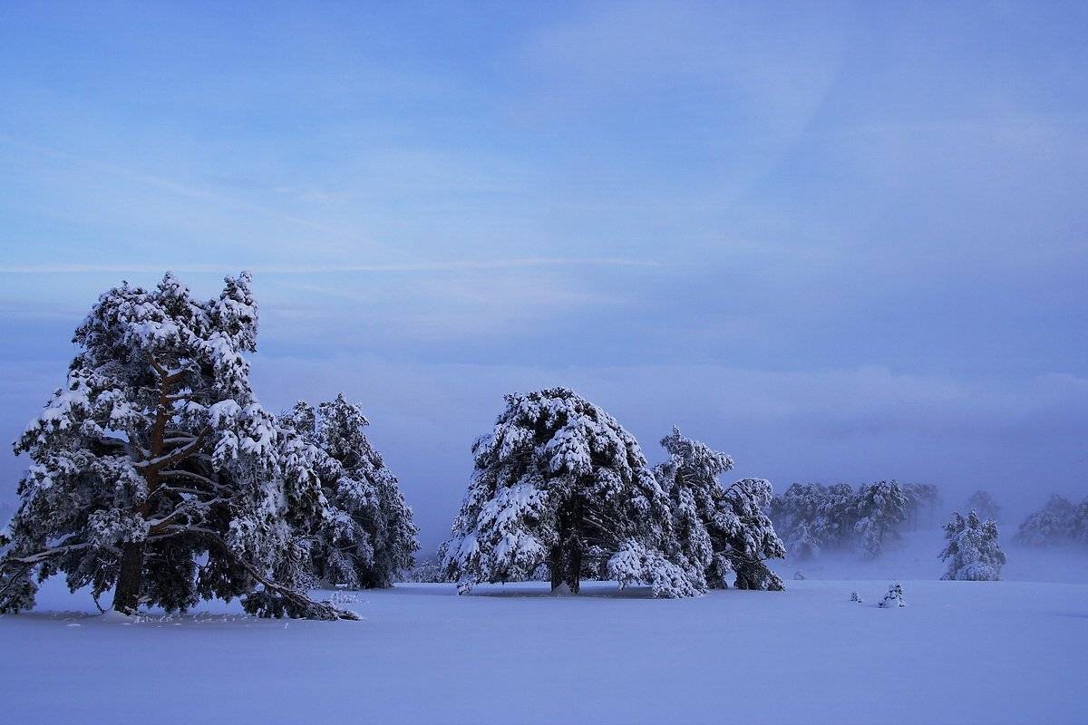 , Виталий Ра