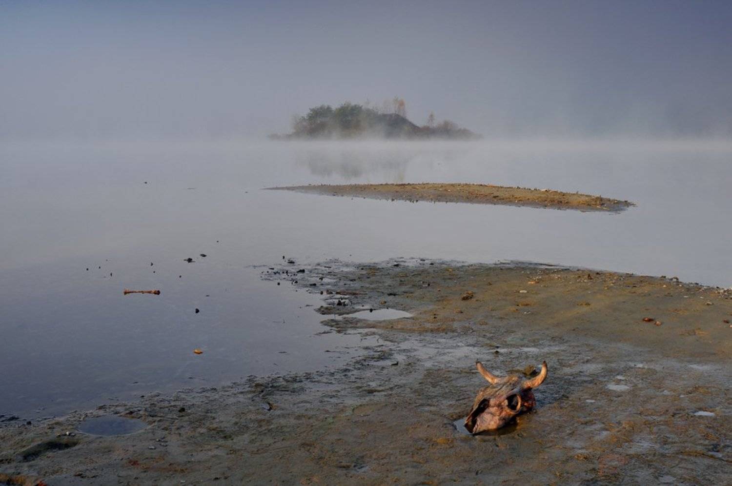 пейзаж, природа, Роман Шебанов