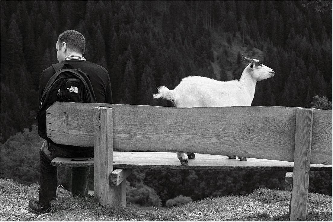 , Вика Иванова