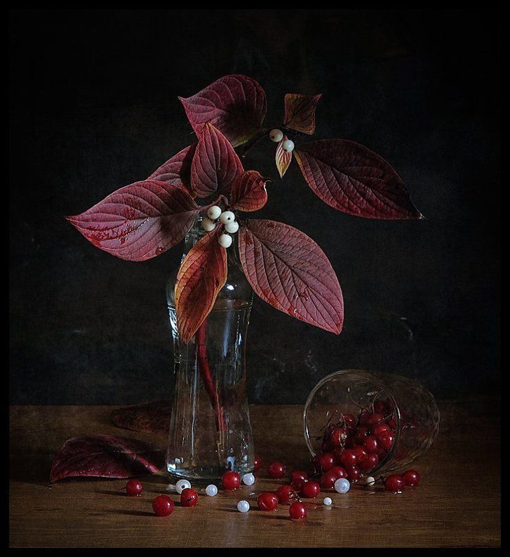 Глазки 2... фото превью