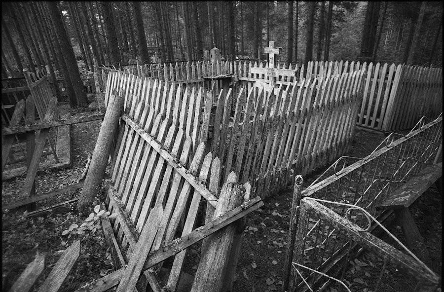 , Александр Савельев