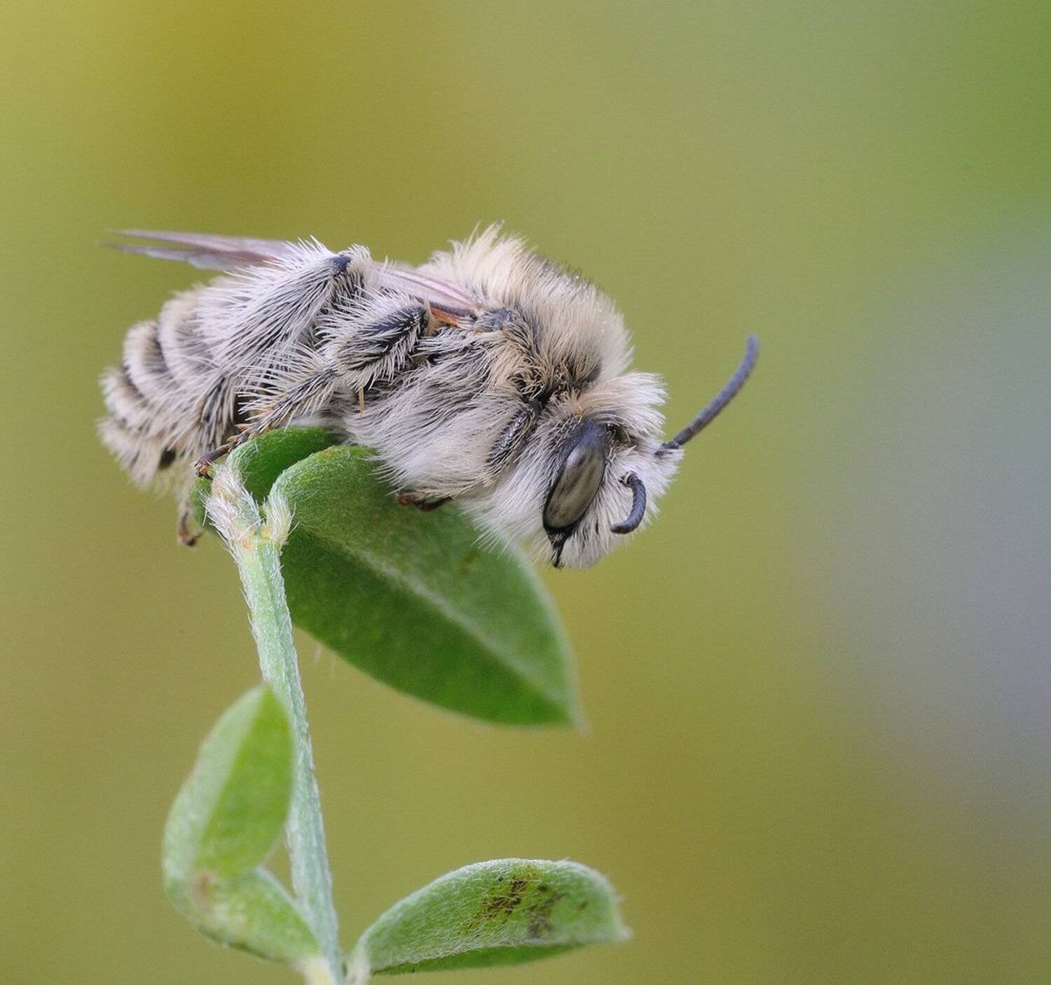 , Кузнецов Дмитрий