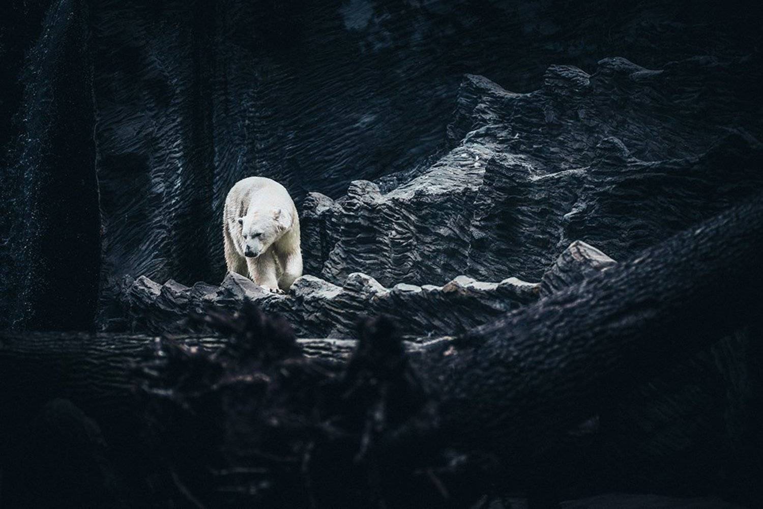 , Виктор Тихонов