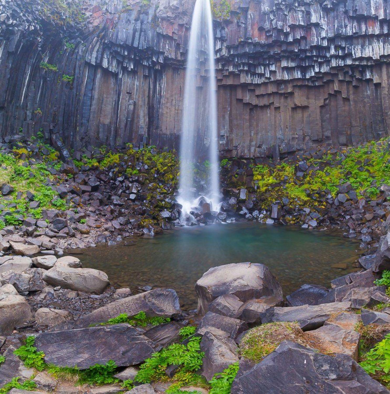 , Александр Подрез