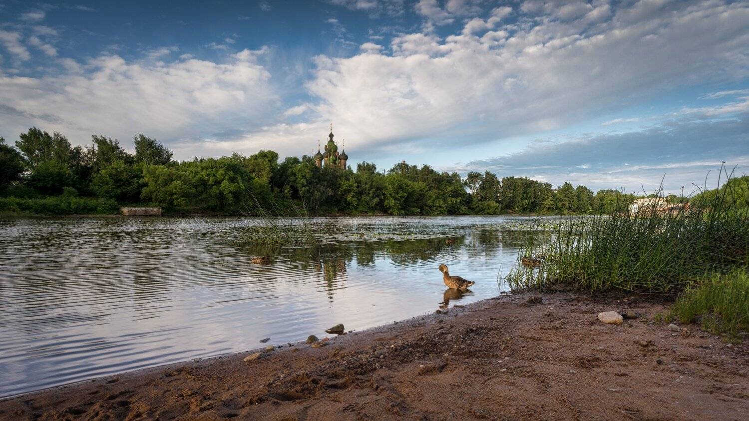 ярославль, храм, иоанна_предтечи, река, которосль, утки, Игорь Приданников