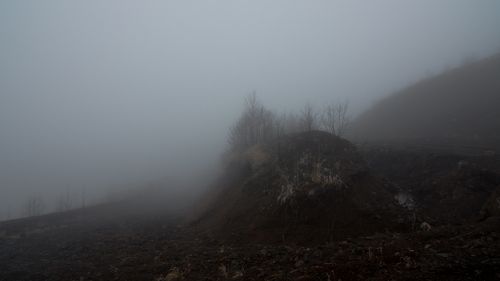 Melancholy road
