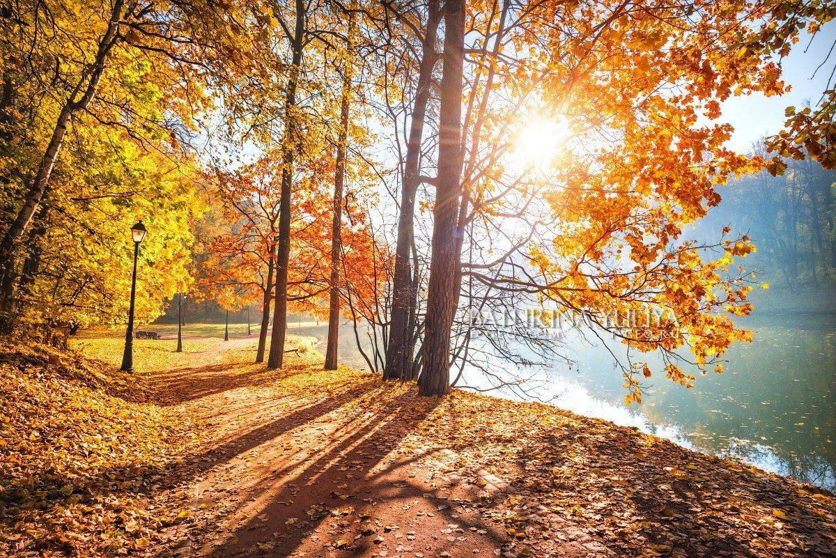 москва, царицыно, осень, пейзаж, Юлия Батурина