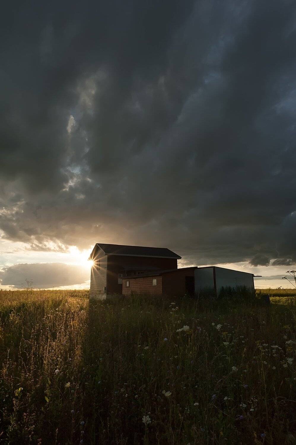 , Виталий Стрельцов