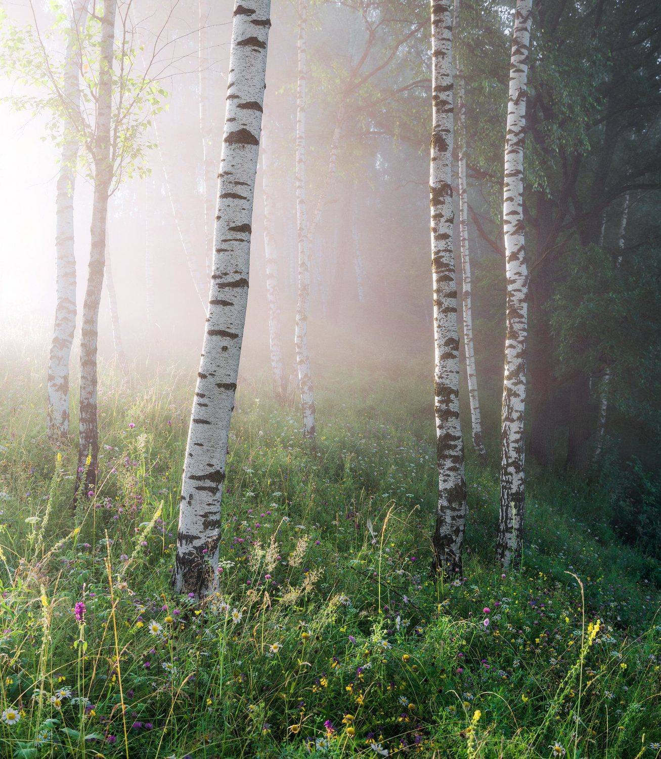 , Руслан Авдевич