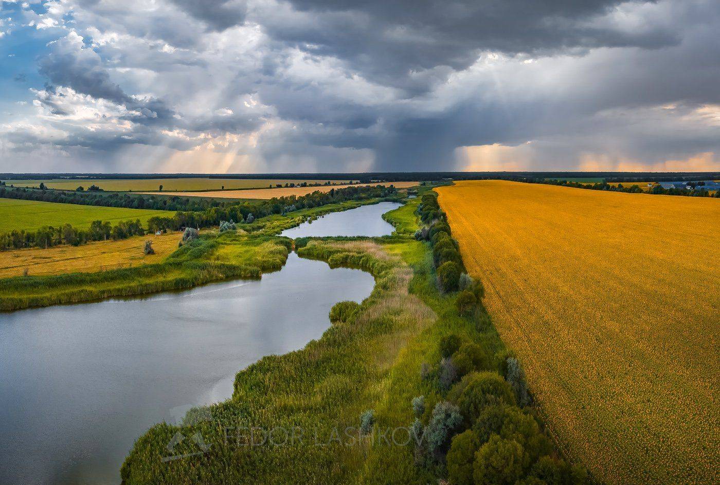 Ставропольский край, фотоальбом, Ставрополье, подсолнух, поле, поля, облака, тучи, гроза, непогода, лето, урожай, подсолнухи, озеро, , Лашков Фёдор