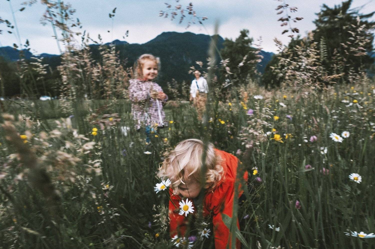 , Денис Кулешов