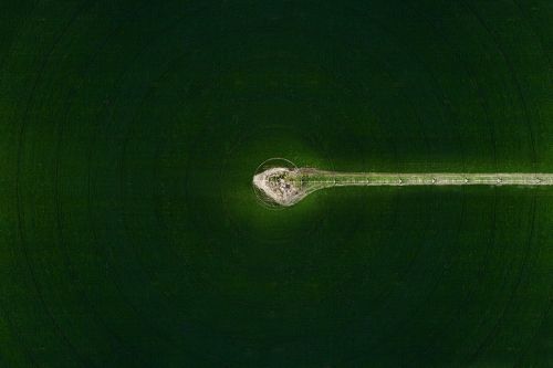Circles of the corn
