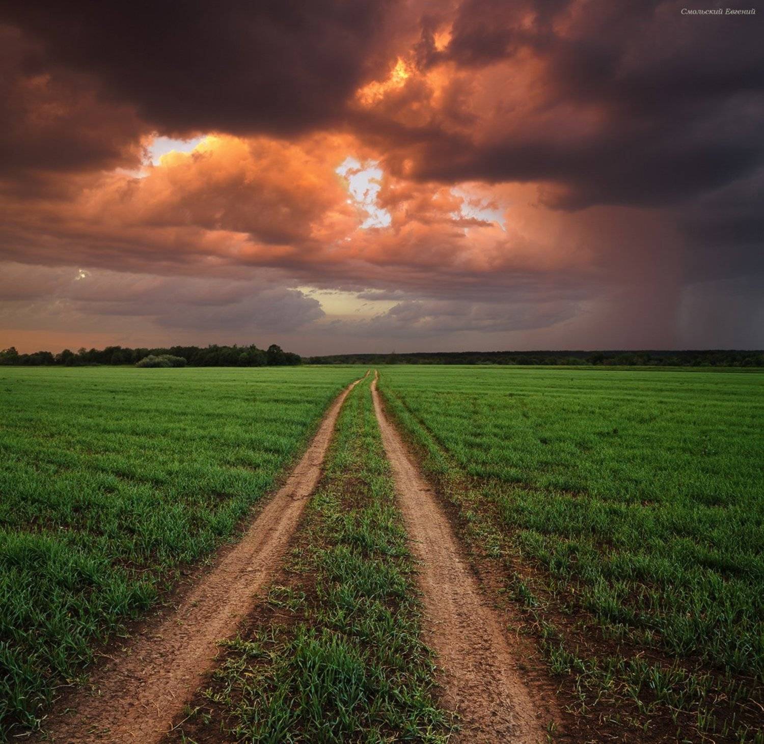 шторм, гроза, закат, май, поле, дорога., Смольский Евгений