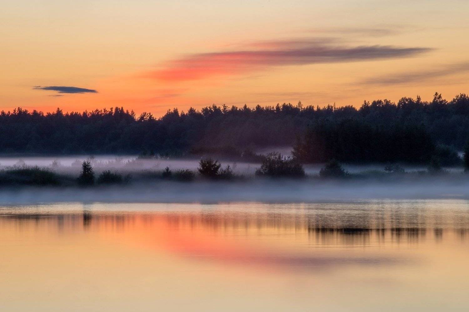 туман, вечер, вода, отражения, лето, ярко, тепло, закат, солнце, тучи, облака, вятка, киров, лес, берег, елки, ель, песок,, Панагушин Сергей