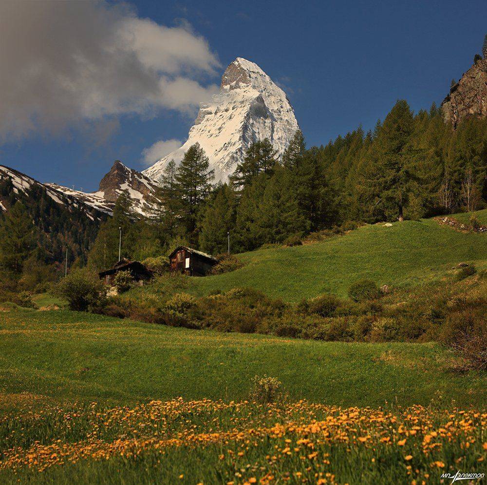 swiss, Матвеев Николай