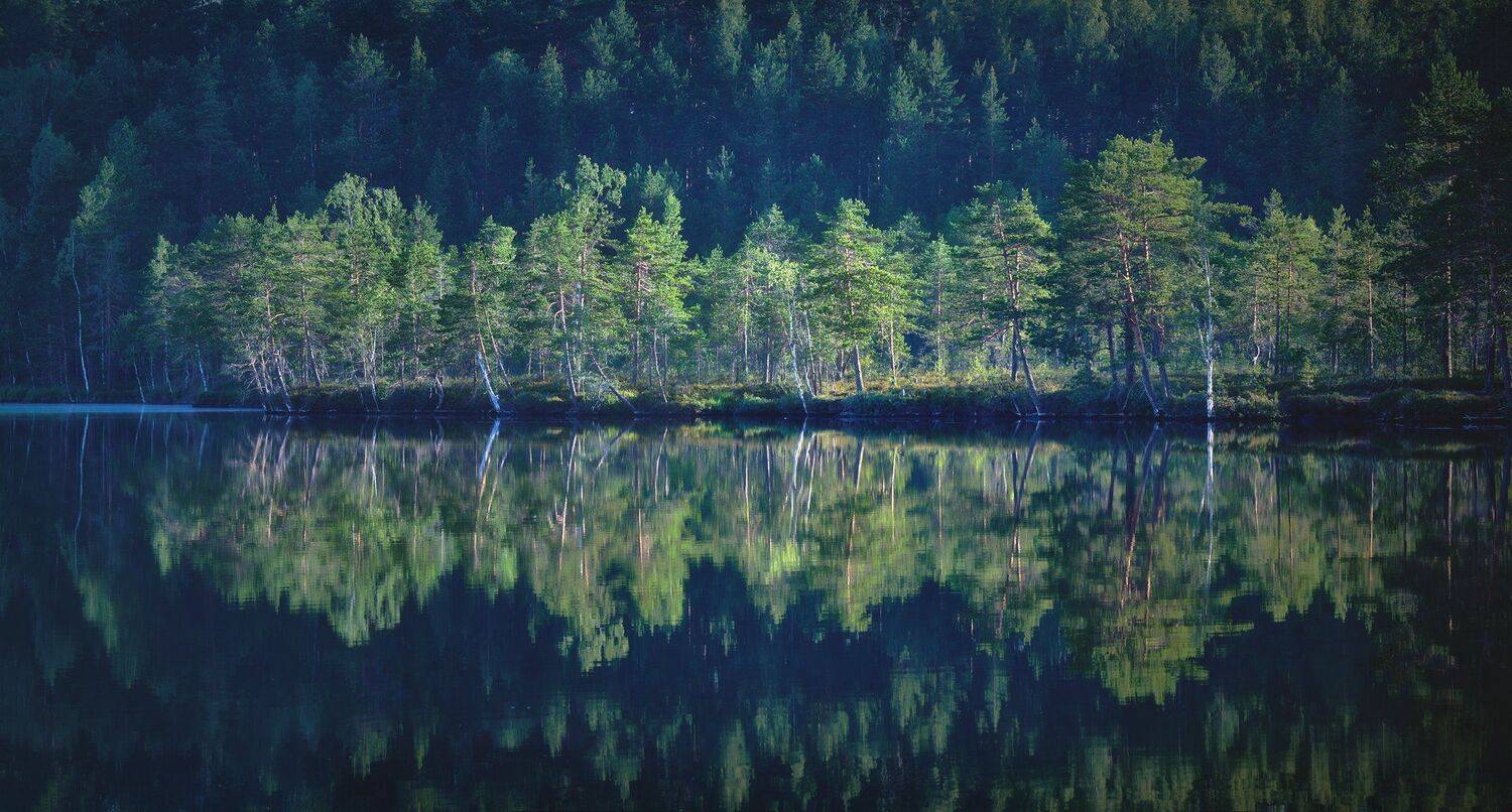 , Антон Кононов