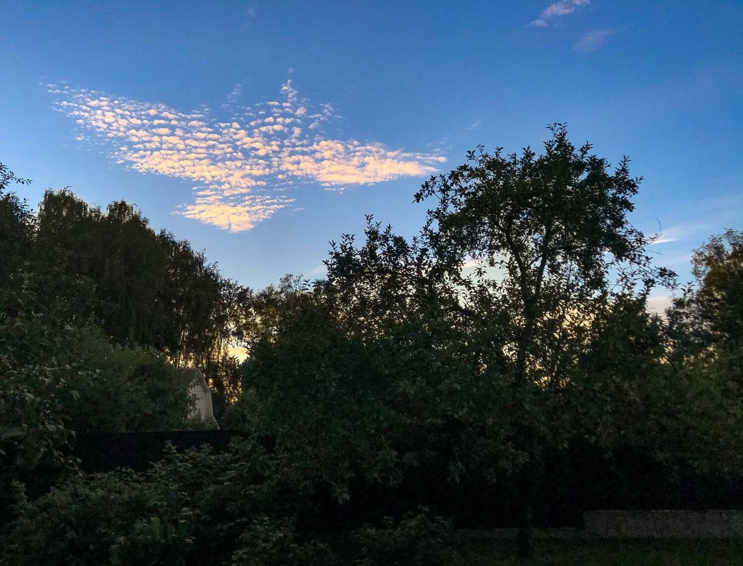 , Курлянцев Алексей