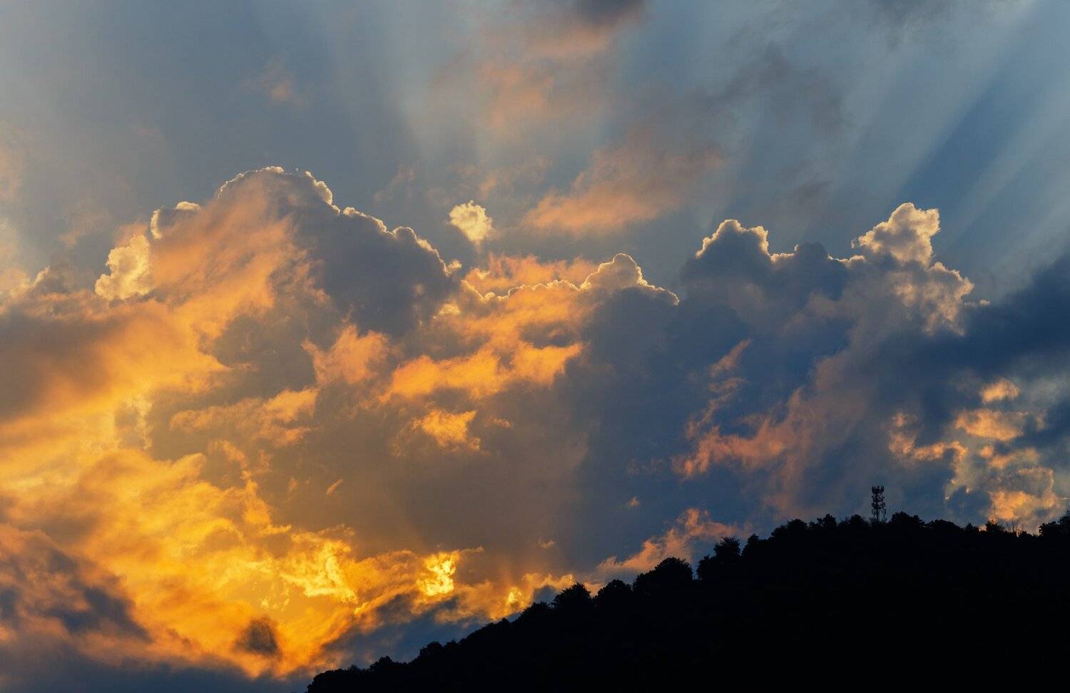 , Олег Богданов