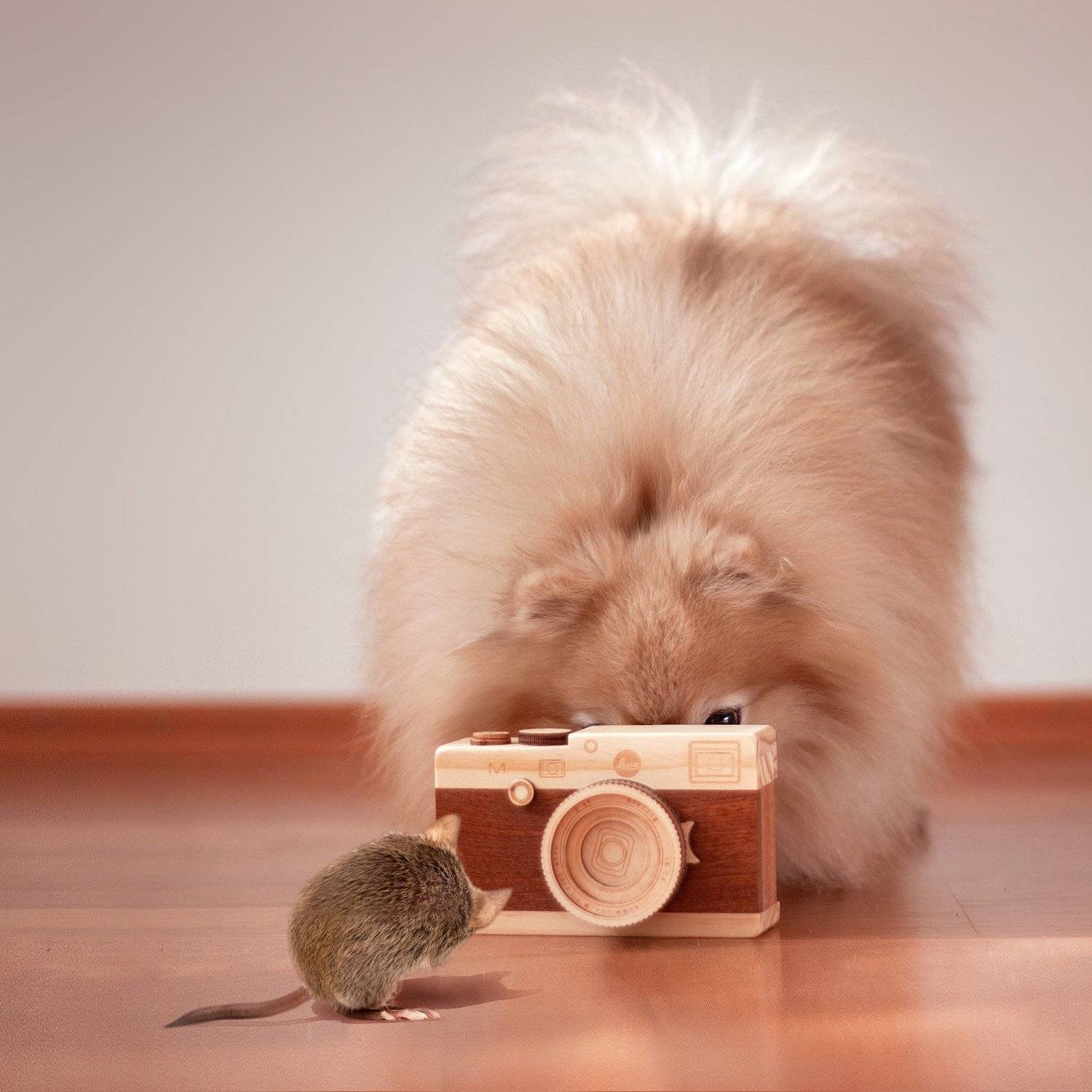 фотограф, foto, photography, Marius Gailiu&scaron;is