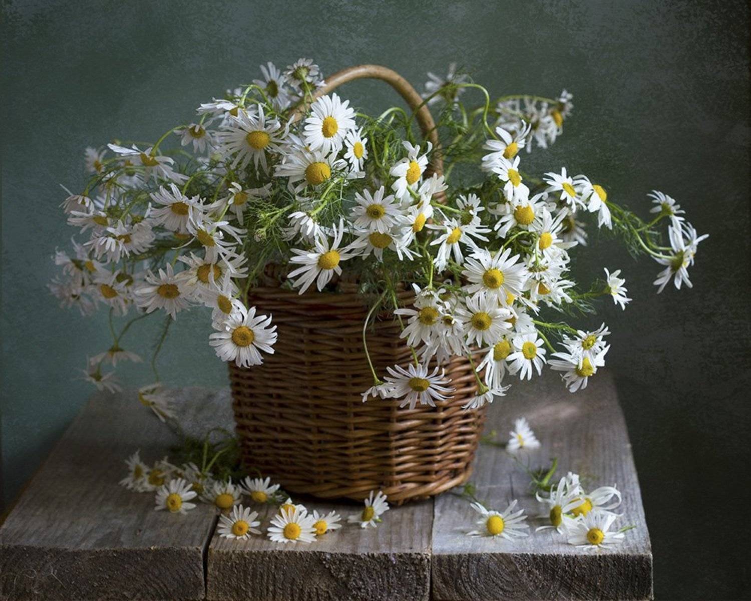 , Марина Кулакова