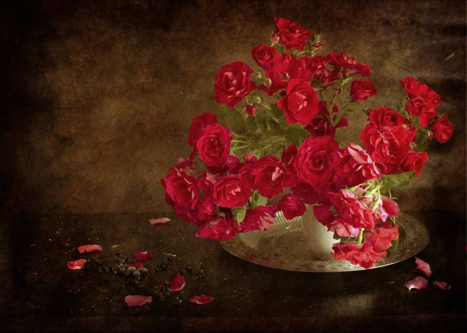 , Синегубова Ольга