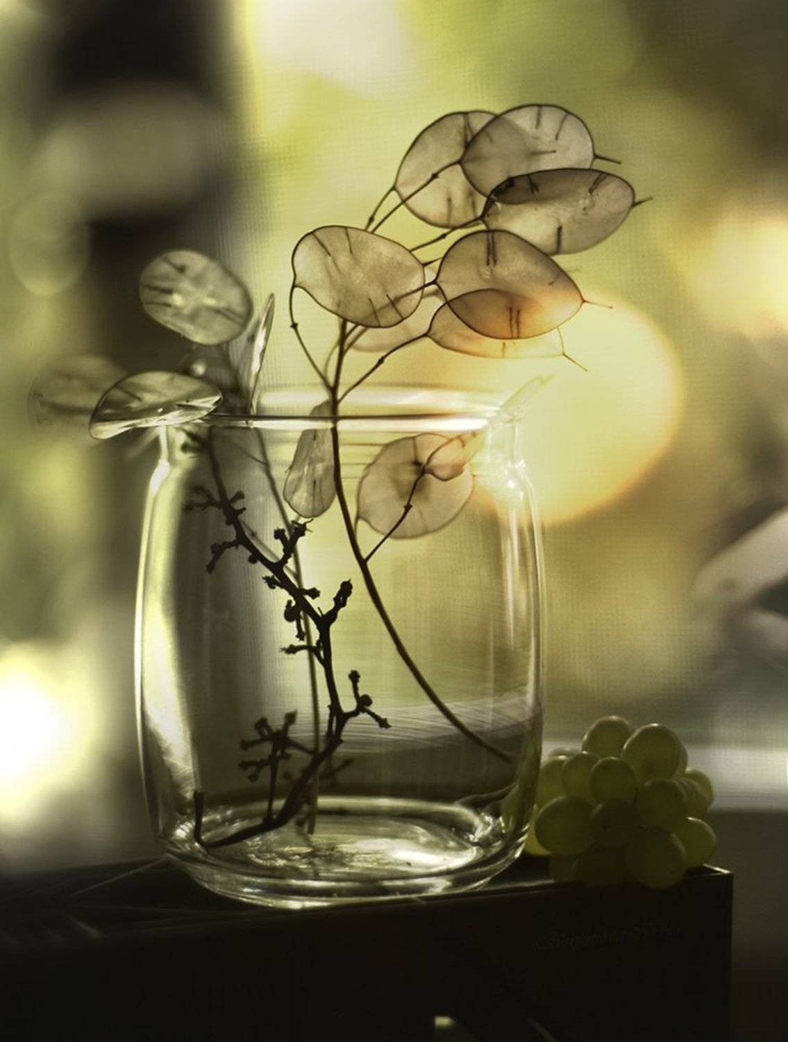 , Шипунова Ирина