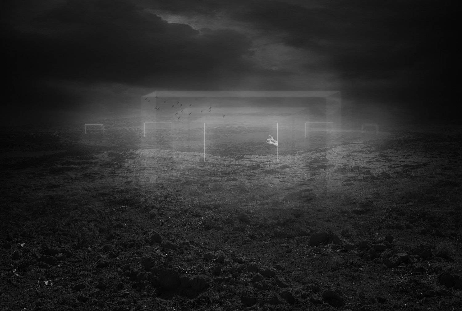 fineart, Shervin Khan Mohammadi