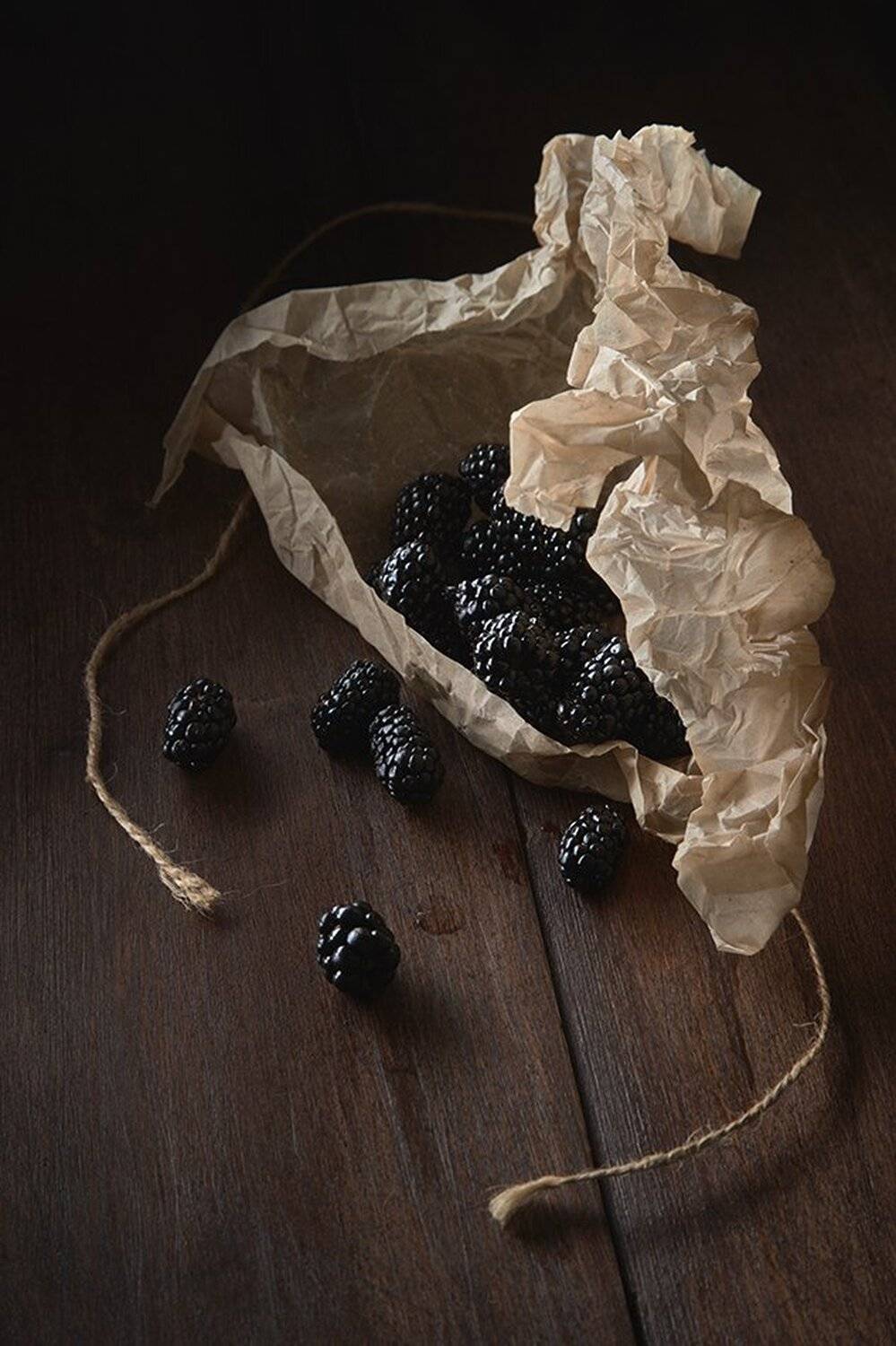 , Алексей Дивнич