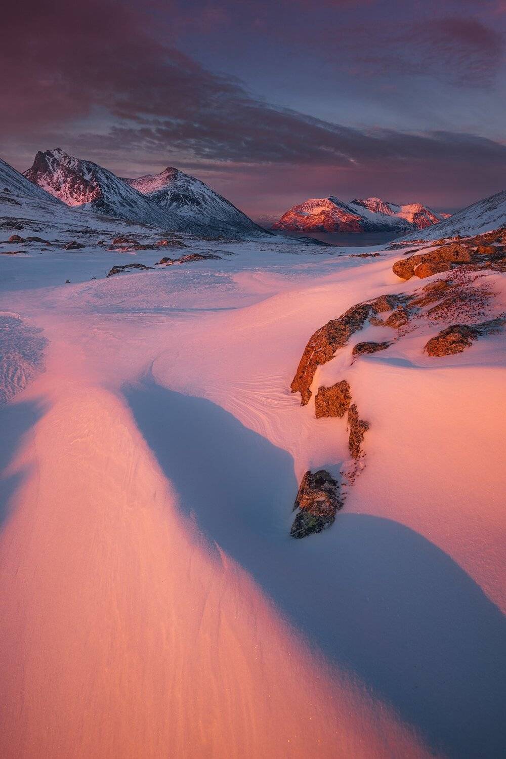 , Szabo Zsolt Andras