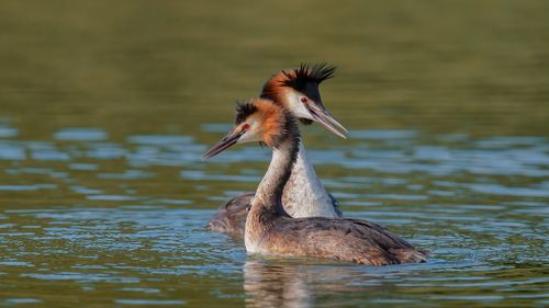 Истории водоёма